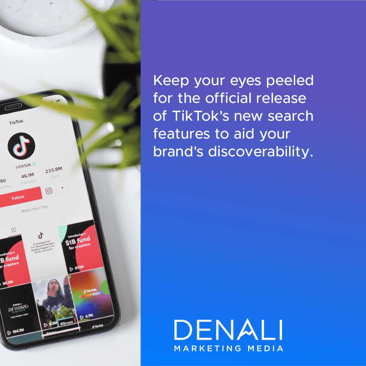 MediaDenali's tweet photo. 👀 A new TikTok test feature aims to enhance the app's search capabilities! 
SWIPE to learn more --->

#contentcreator #youtuber #youtube #content #contentcreation #contentmarketing #influencer#contentcreator #tiktok #entrepreneur #MarketingAgency #socialmediamanager https://t.co/8W7taY3q8F
