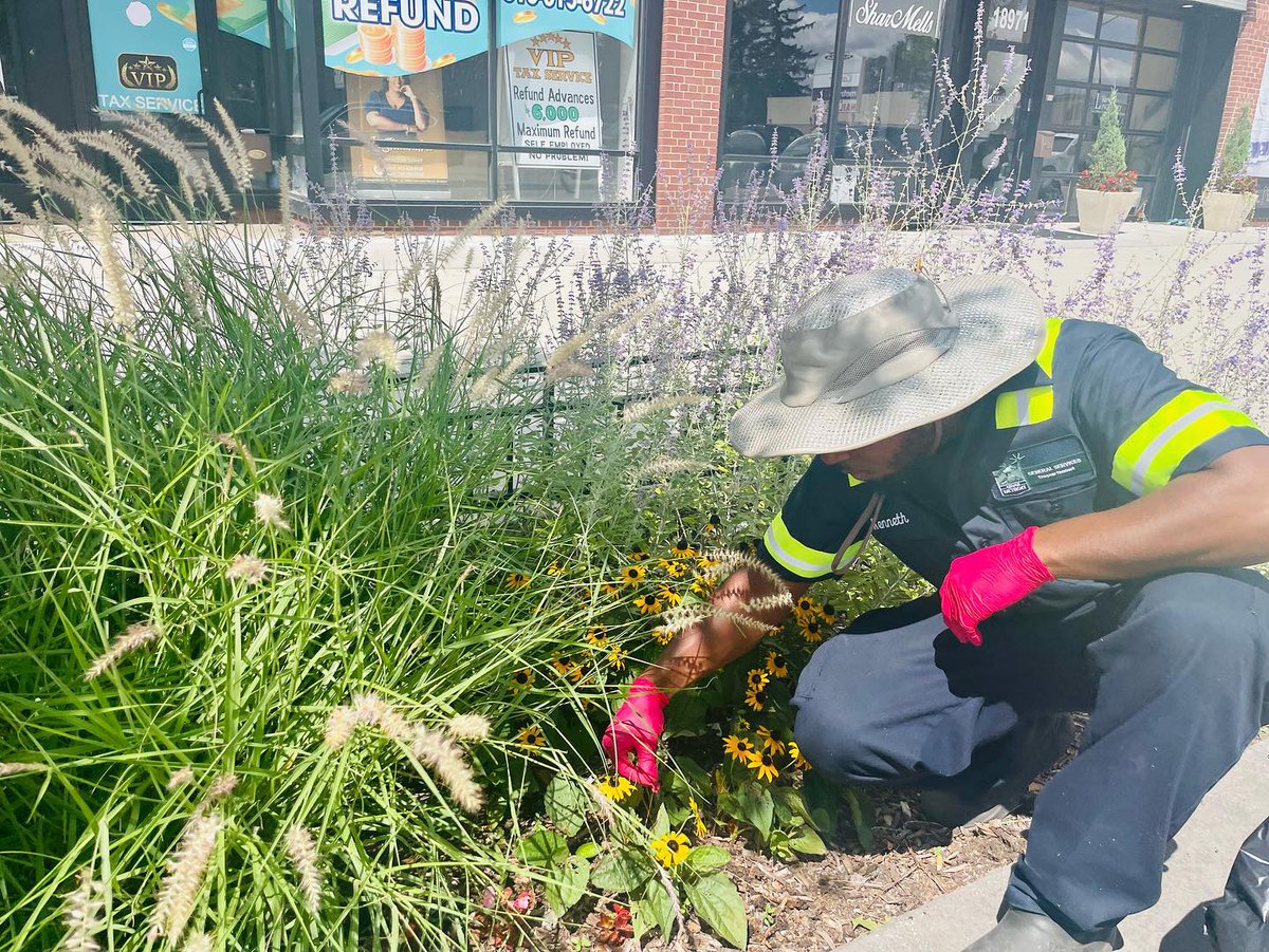 CityofDetroit's tweet photo. #Repost from @DetroitGsd
Today our floriculture team pulled up on the Avenue of Fashion for maintenance of the flower beds💐
It’s our pleasure to #KeepDetroitBeautiful
We are hiring for Floriculturist starting at $17.01/hr🌷🌺💐
#WorkforGSD⬇️
https://t.co/irK3p32Aap... https://t.co/br5wFdQEv4