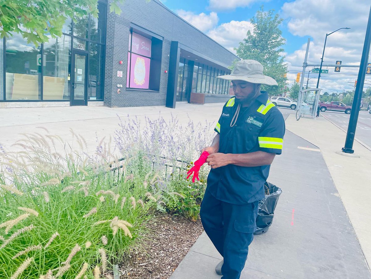 CityofDetroit's tweet photo. #Repost from @DetroitGsd
Today our floriculture team pulled up on the Avenue of Fashion for maintenance of the flower beds💐
It’s our pleasure to #KeepDetroitBeautiful
We are hiring for Floriculturist starting at $17.01/hr🌷🌺💐
#WorkforGSD⬇️
https://t.co/irK3p32Aap... https://t.co/br5wFdQEv4