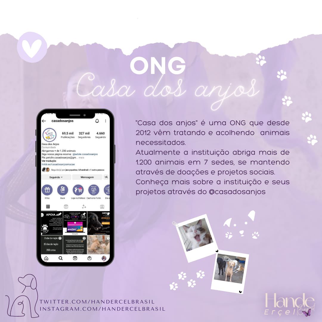 Hande Erçel Brasil 🦋 on X: 📲 Amigos e família, Precisamos da sua ajuda! Por favor, considere contribuir para a nossa campanha de angariação de fundos para as vítimas dos terremotos devastadores
