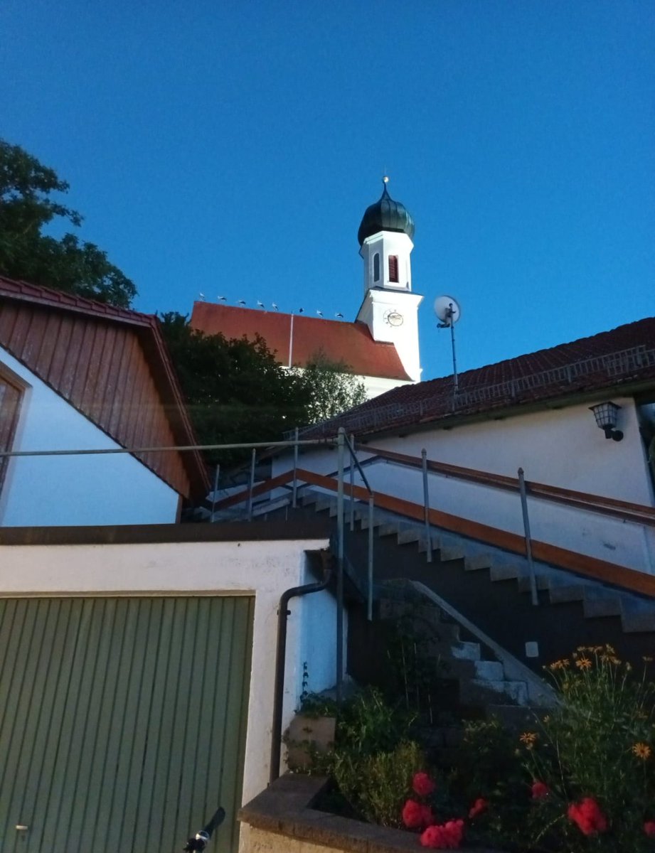 alejulimanu's tweet photo. 9 #Störche auf der heimatlichen Dorfkirche.. ein sehr lustiges, noch nie erlebtes Spektakel! #Issing https://t.co/vdRE4vfse3