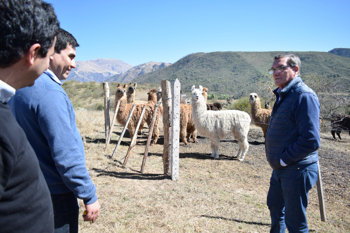 SimonPadros's tweet photo. Hoy visite a la cooperativa La Candelaria, ubicada en la localidad de El Rodeo, comuna de Choromoro, departamento Trancas.
Un emprendimiento dedicado a la cria de llamas para la comercializacion de su carne y la fabricacion de chacinados.
Agregando valor en origen.
Vamos por más. https://t.co/qr1B1qXILY