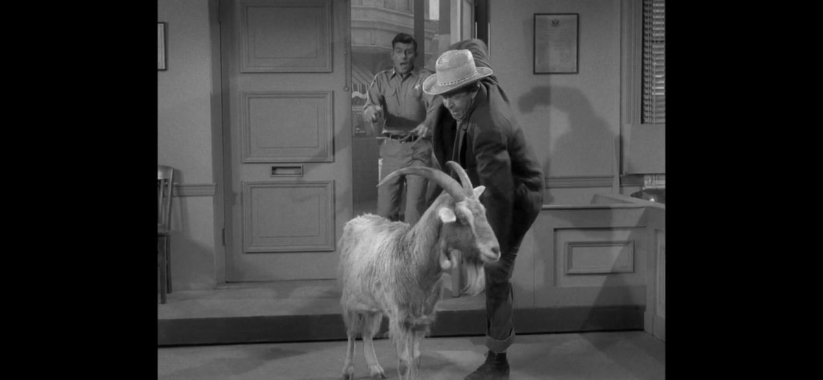 IslanderNation's tweet photo. I suppose if the goat ate matches or some type of material that could self ignite the dynamite could go off. 🤔#LoadedGoat #TAGS https://t.co/B1mA19mOHo