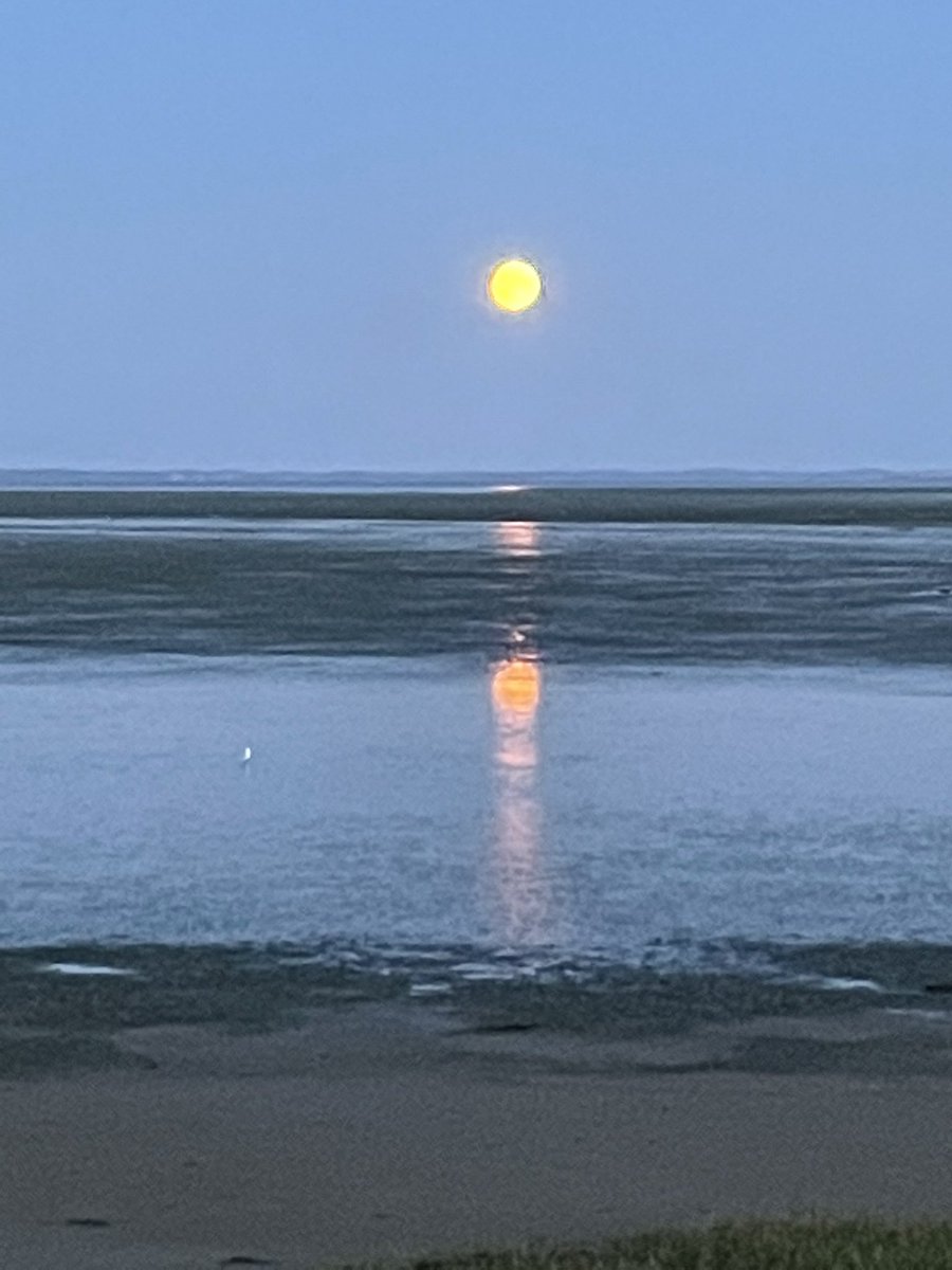 DeniseLowry17's tweet photo. Too warm for an early walk. A late night stroll under a full moon for day 10 of #WeActiveChallenge #NIAHPsActive #AHPsActive Beautiful views as far as The Mournes #paedphysio https://t.co/cJuJ6FUe2l