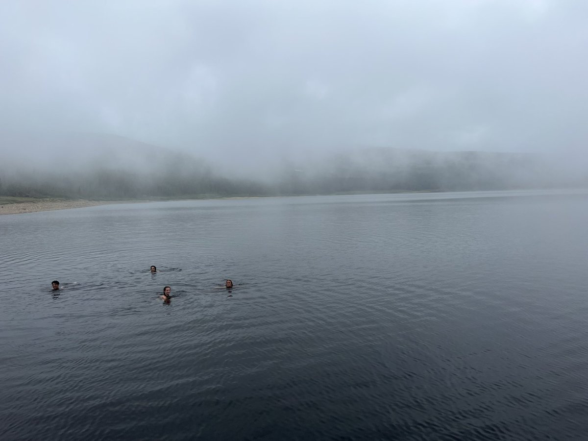 New Generation Track and Field tweet media