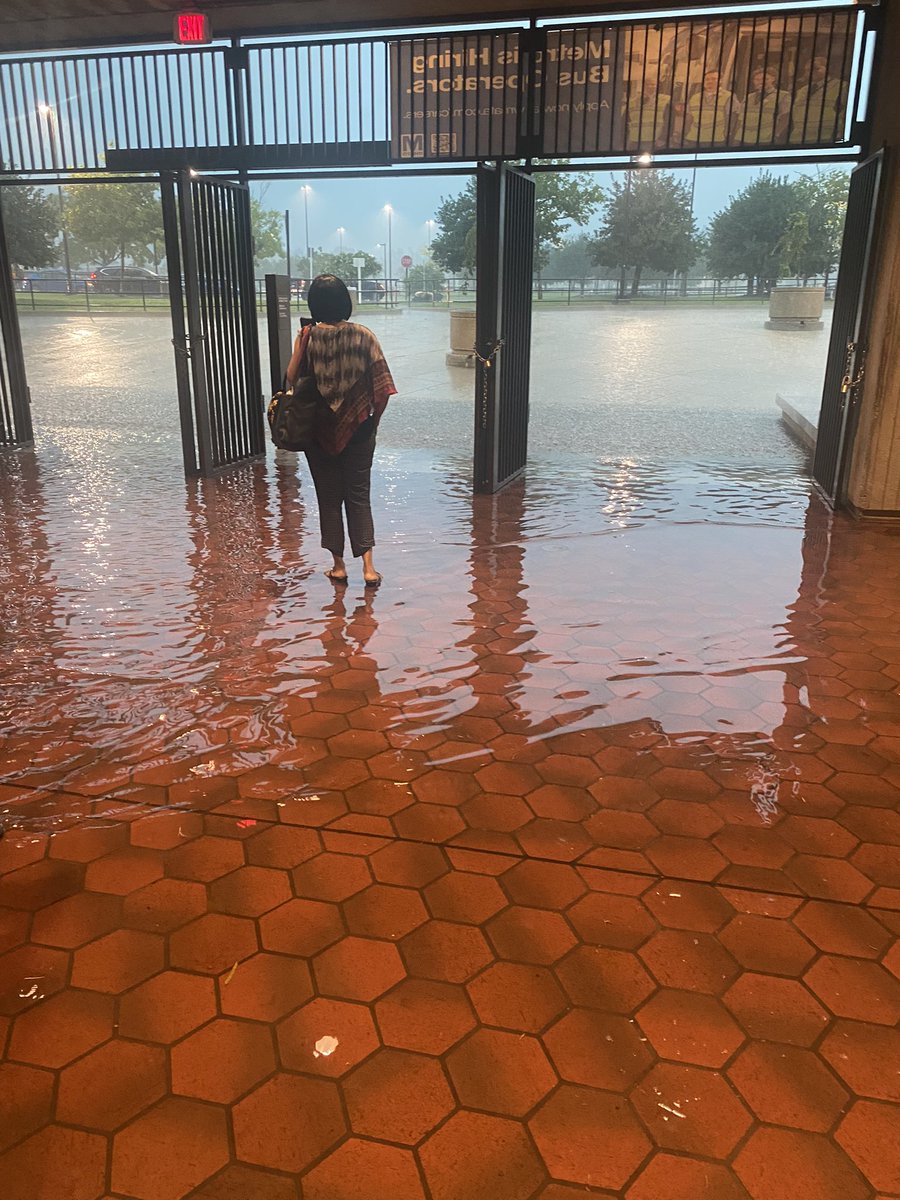 Zel_FromtheWood's tweet photo. In todays adventures on metro โโโ @unsuckdcmetro @wmata @nbcwashington @fox5dc https://t.co/K4NrpmLtQR
