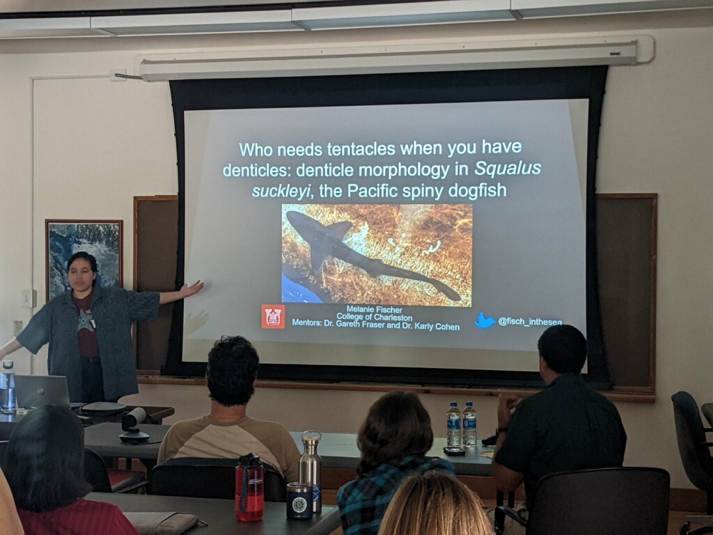 fisch_inthesea's tweet photo. Hi, I'm Melanie! I'm a senior at @CofC. I'm into fish morphology/biomechanics/physiology and marine paleobiology/paleozoology. I plan to write my Bachelor's Essay on comparative biomechanics of moray skin! Here are some pictures from my FHL REU program this summer! #latinainstem https://t.co/eFBYgsq6CY