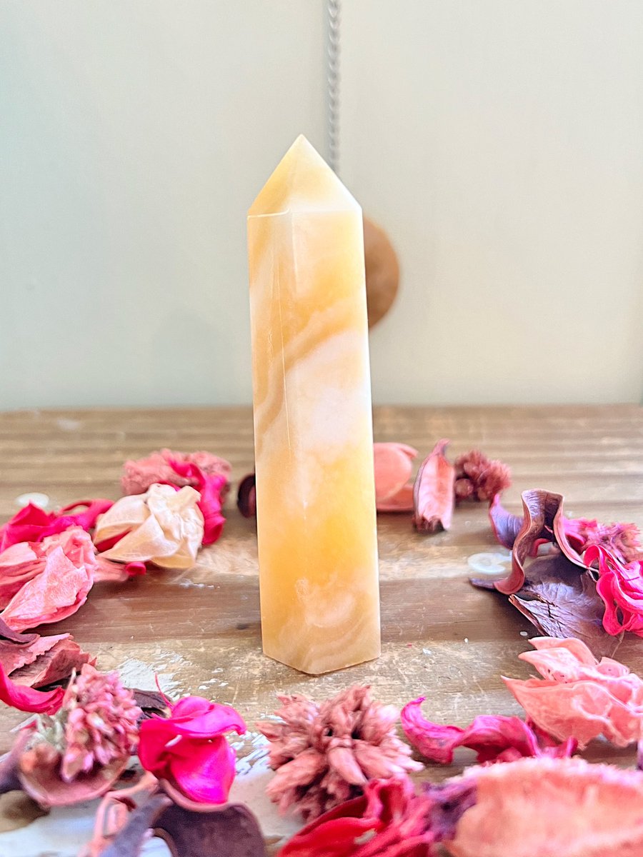 A few crystals from my shop that are still in need of their forever homes🙈 we have Fluorite x Sphalerite, Carnelian X’s 2 and Orange Calcite! Can we find one of these beauties a home today?🤍✨ roseandquartz.com comes with an info cutout + a gift!🤍✨