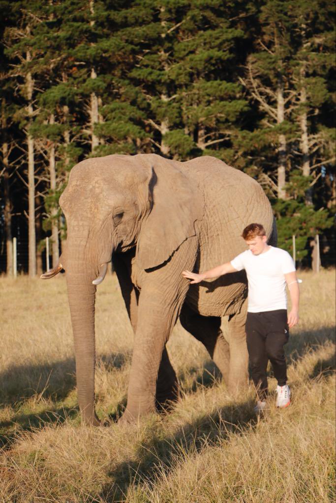 Heavy for sure. Current can’t sleep. So amped up after today. Isn’t the first time and won’t be the last. 

Too excited to start work tomorrow even though I really should sleep 🫣

My biggest strength and weakness is my inability to switch off. Always thinking 👀