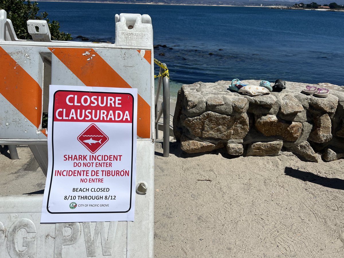 RealScottRates's tweet photo. #BREAKING Another shark attack at Lover’s Point in Pacific Grove. No injuries as a result. The beach is closed at this hour. #SharkAttack #shark #SharkWeek #Pacific #montery @KION546 https://t.co/AoY5E10RWB