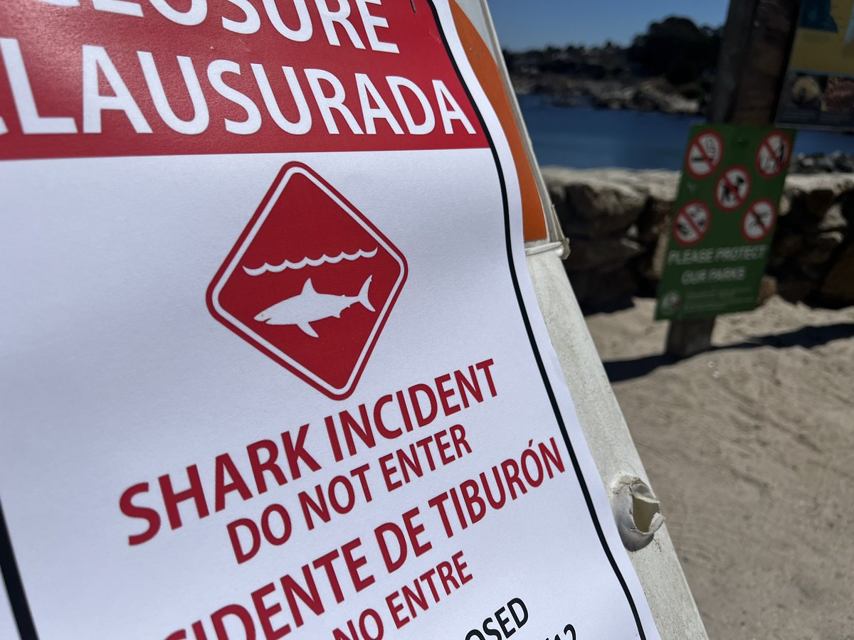 RealScottRates's tweet photo. #BREAKING Another shark attack at Lover’s Point in Pacific Grove. No injuries as a result. The beach is closed at this hour. #SharkAttack #shark #SharkWeek #Pacific #montery @KION546 https://t.co/AoY5E10RWB