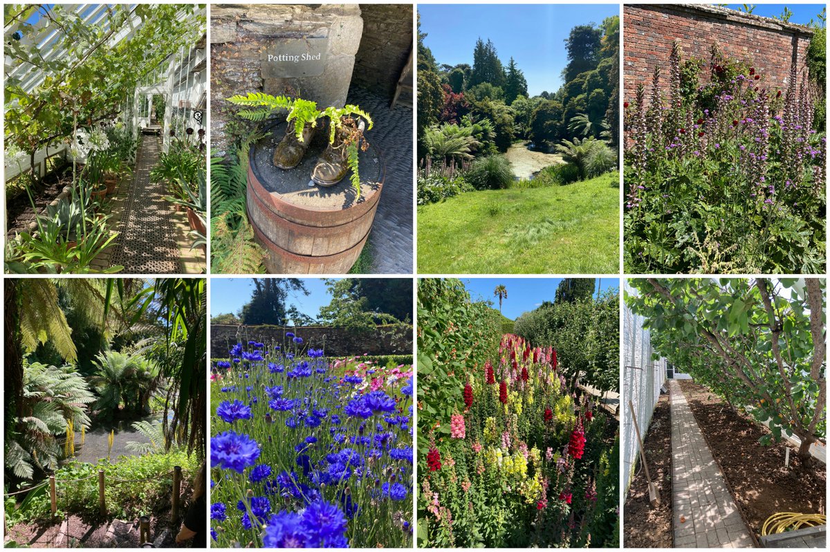 Rosewood's #livingwall manager, Calum, spent a few days in #Cornwall recently, & highly recommends the #LostGardensofHeligan to all you garden-lovers out there!
#gardenstovisit #visitcornwall #Heligan #Englishgardens

#greenwalls #verticalgardens #livingwalls #verticalgardening