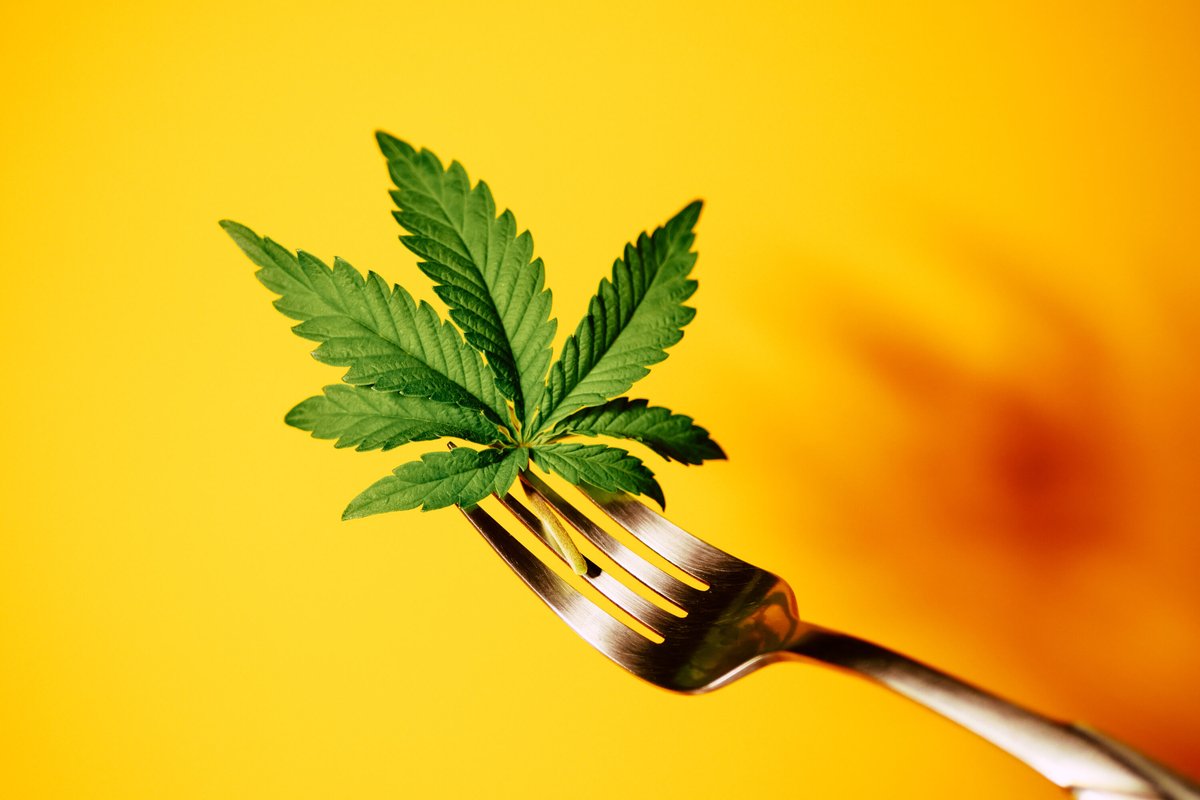 Association québécoise du chanvre et du cannabis tweet media