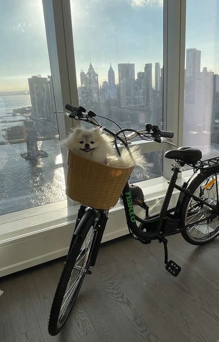 My babe 😍 https://t.co/Td81AwMUWz<a href="/tag/nationalweatherpersonsday"class="tags"><span>#nationalweatherpersonsday</span></a>