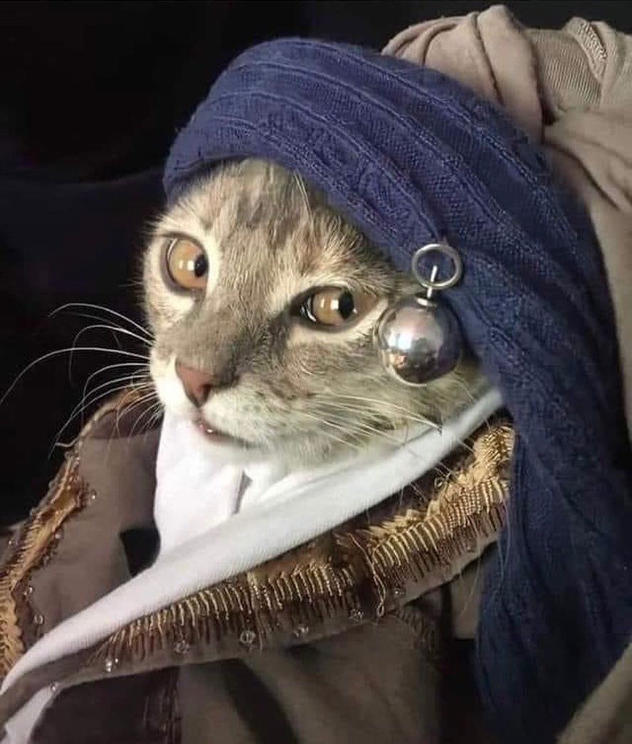 detektive tweet media