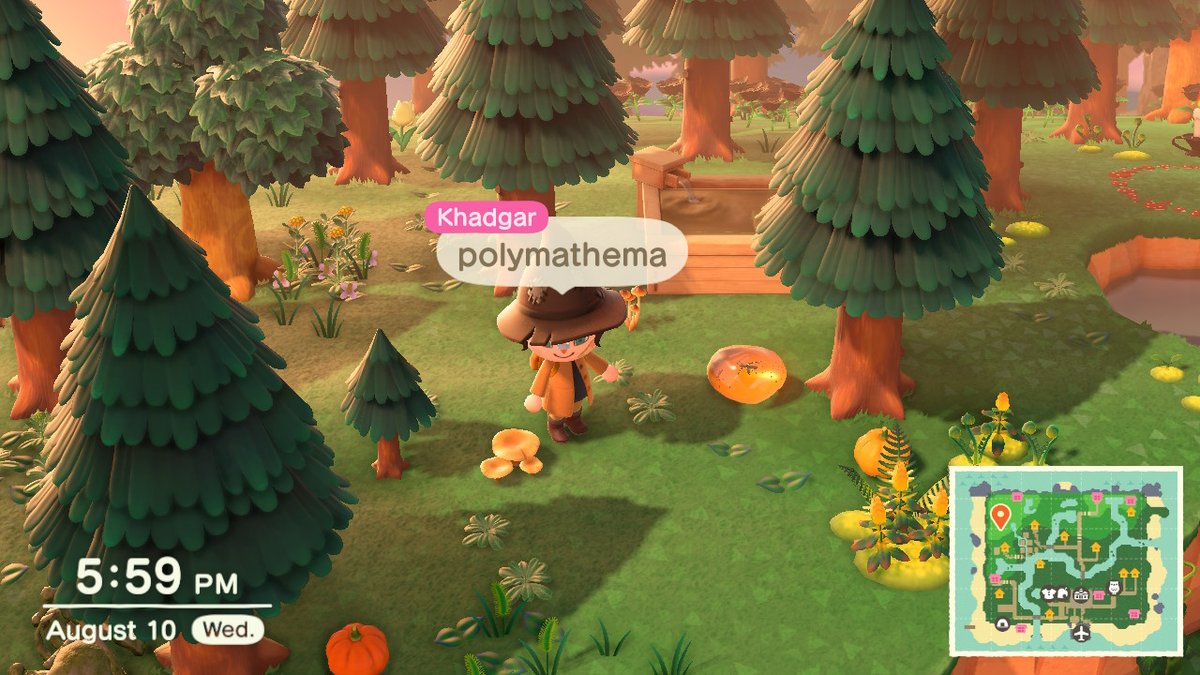Polymathema's tweet photo. https://t.co/HU3a8LzXUS