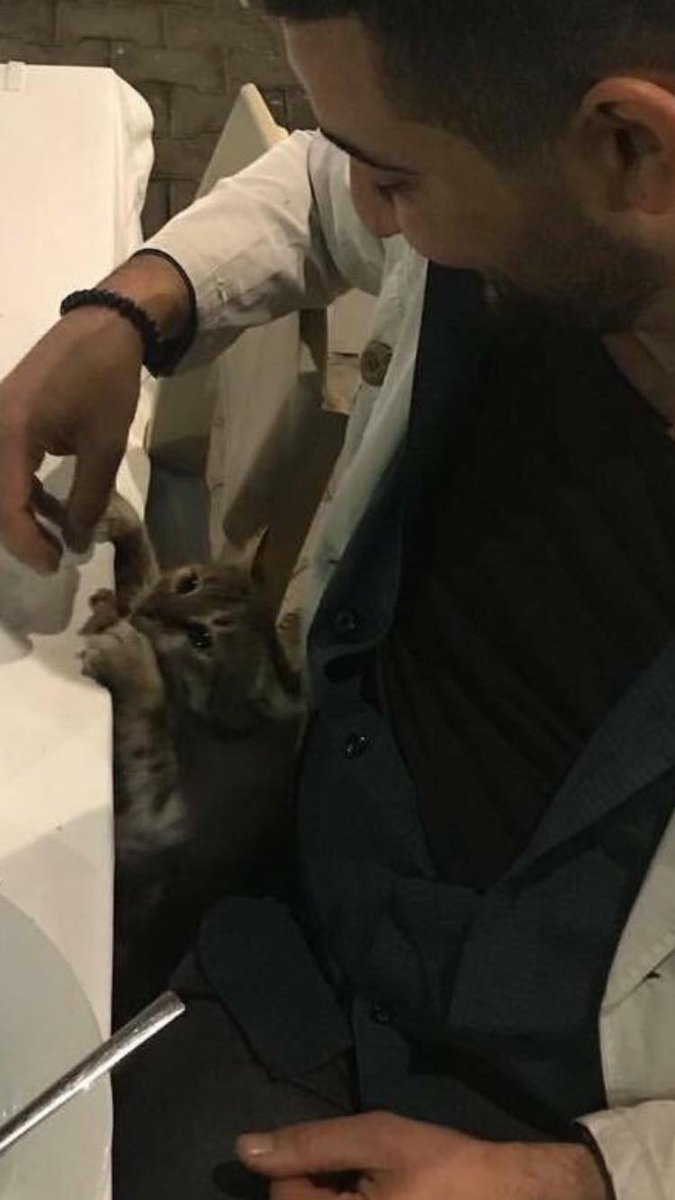 H. SEZAYİ K. tweet media