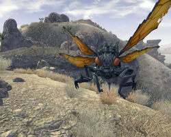 Boborail tweet media