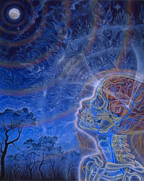 santinho95's tweet photo. Wonder by Alex Grey, 1996 https://t.co/NyxzP8fxwP