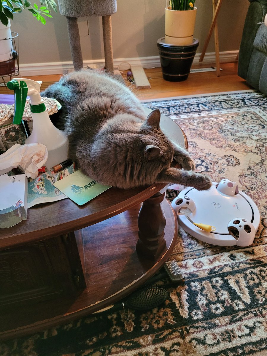 ReiersonDeb's tweet photo. Now this is comfy https://t.co/yoJ7PEAc6T