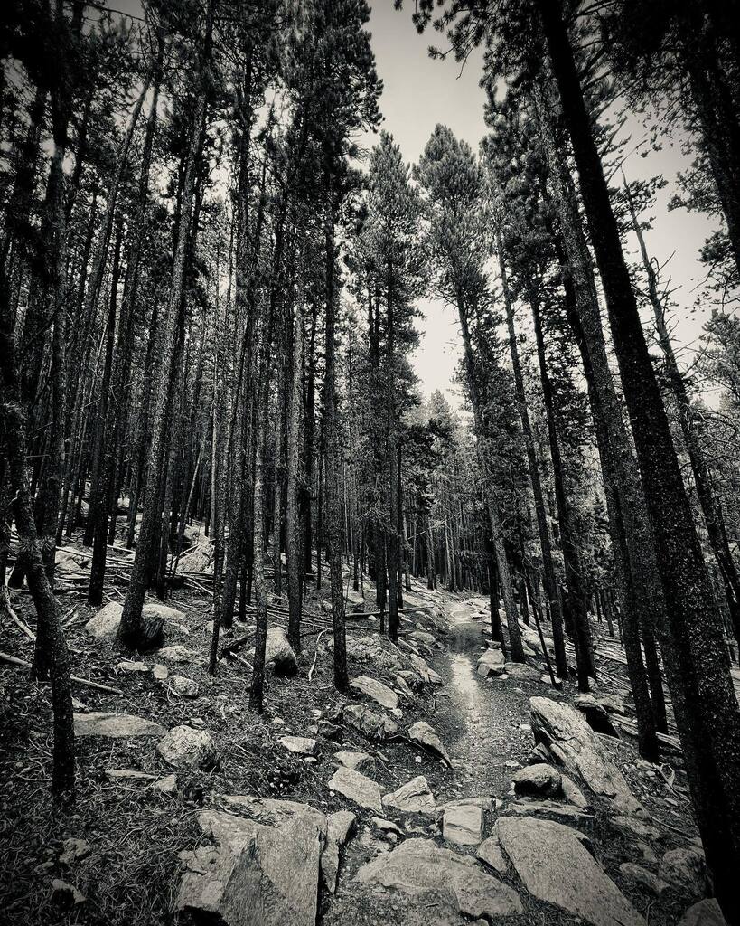 DanSchrock's tweet photo. Out &amp; About  #evergreencolorado #colorado #coloradotourism #getoutside #getoutdoors #hiking #nature 
-
-
-
-
#advertisingagencey #advertisingphotography #commercialphotography #productphotography #denver #chicago #creativeentrepreneur #poshcollective #de… https://t.co/kMAuELvBab https://t.co/tl2NN8xTnJ