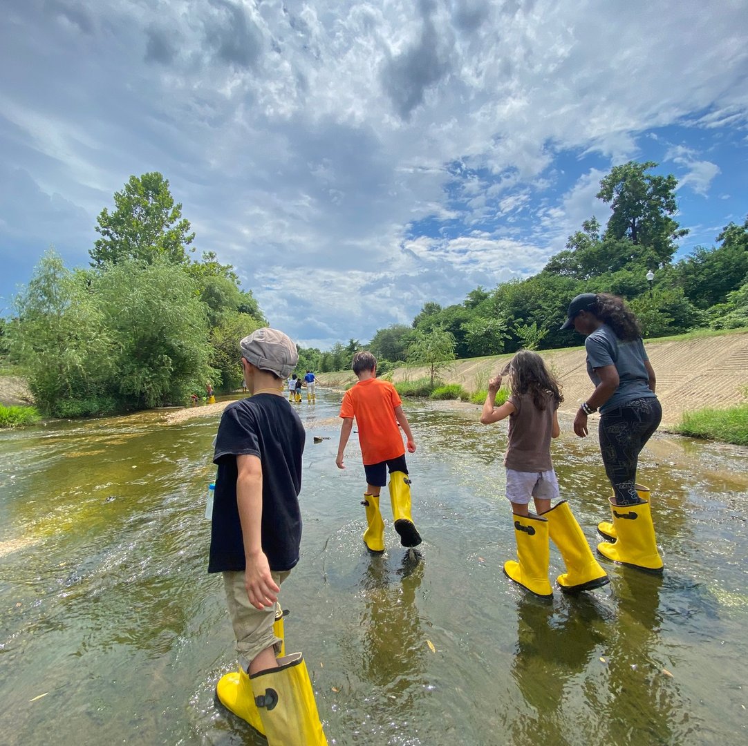 FoodPrintsDC's tweet photo. This summer, FoodPrints, @TheGreenScheme_ and @dc_greens met up at @Ward8WELL for a fantastic field trip! π±
Our students got to see how community comes together through creating inclusive, green spaces in their own city. π½π»
#growcookeatlearn #foodeducation #communitygarden https://t.co/raCFi5kHfd