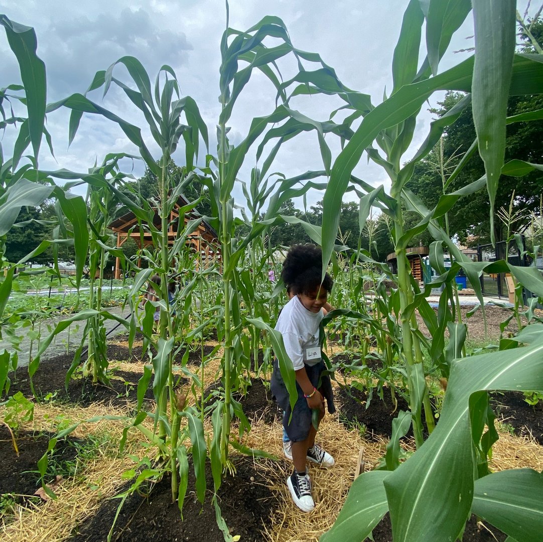 FoodPrintsDC's tweet photo. This summer, FoodPrints, @TheGreenScheme_ and @dc_greens met up at @Ward8WELL for a fantastic field trip! π±
Our students got to see how community comes together through creating inclusive, green spaces in their own city. π½π»
#growcookeatlearn #foodeducation #communitygarden https://t.co/raCFi5kHfd