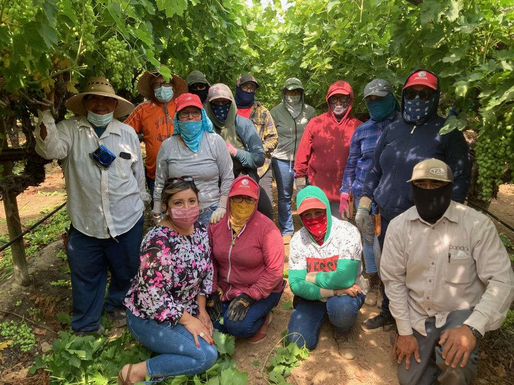 Senator_Hurtado's tweet photo. Having recognized #FarmworkerDay earlier this week, I hope that we can continue to recognize their hard work by passing #SB1066. 

SB1066 will provide financial assistance to farmworkers who need help meeting their basic needs. https://t.co/r93vovFtji