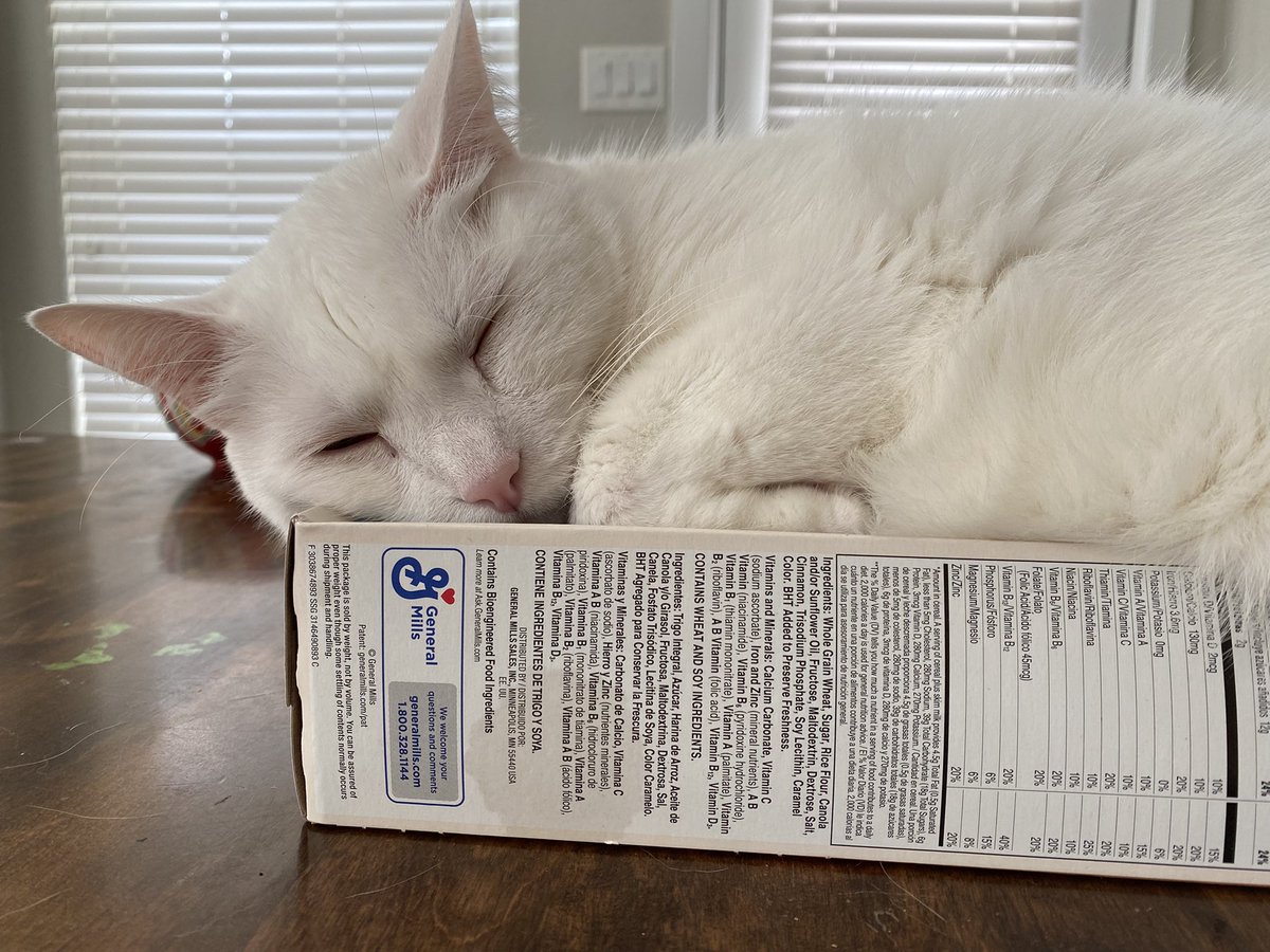 To the Dear <a href="/GeneralMills/">General Mills</a>, Sir.

First most, thank you for your service to the country, but as you can see, the box, it is too small. Because you are the General, I do hope you can use your powers to make the boxes bigger for the cats.

Thank you,

Shadowfax