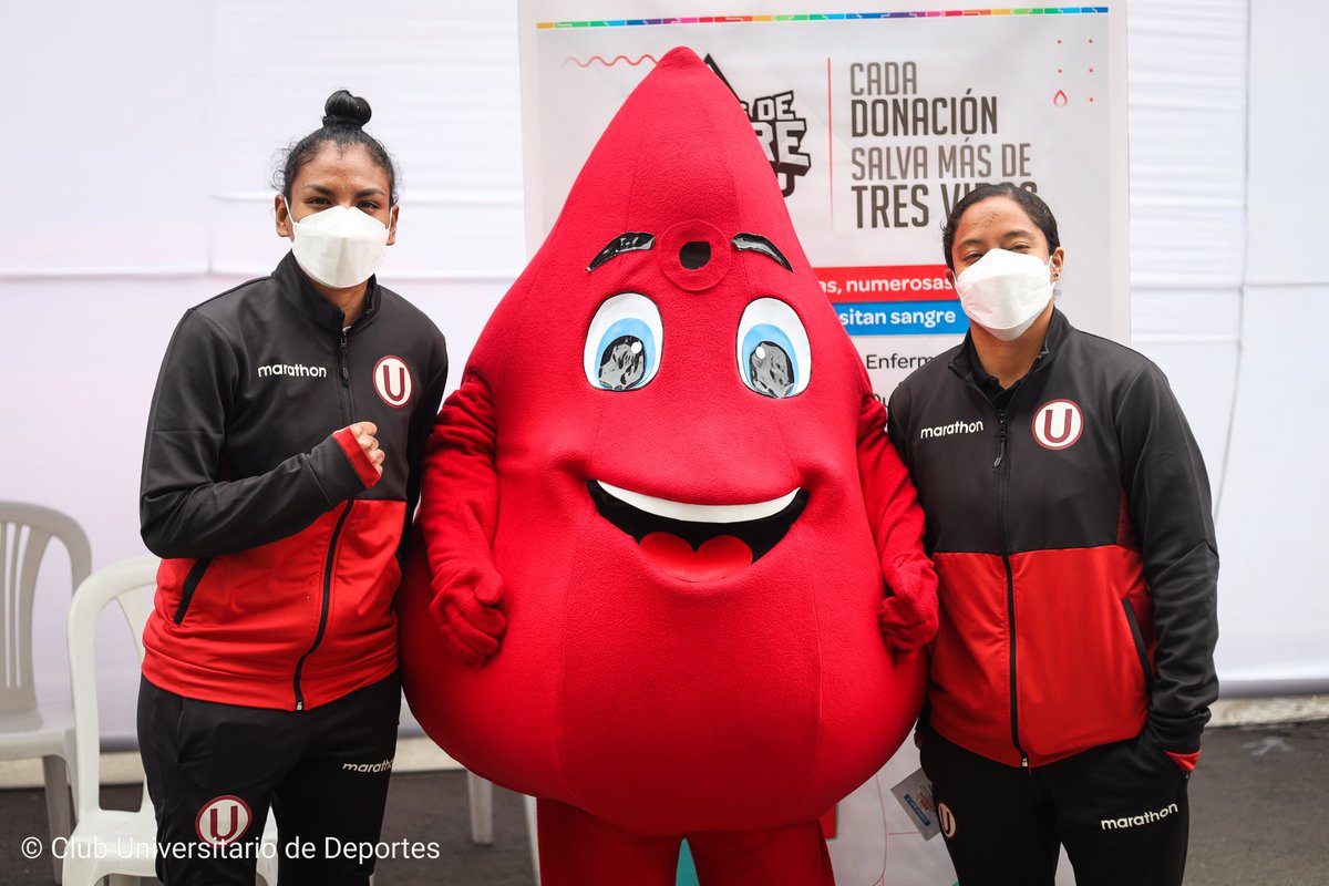 FutFemeninoU's tweet photo. ¡𝗘𝗹𝗹𝗮𝘀 𝘁𝗮𝗺𝗯𝗶é𝗻 𝘀𝗼𝗻 #𝗛𝗶𝗻𝗰𝗵𝗮𝘀𝗗𝗲𝗦𝗮𝗻𝗴𝗿𝗲! ❤️💛

Nos sumamos a la campaña de @EsSaludPeru y junto a Aranxa, Nahomi y Kimbherly buscamos concientizar a la población sobre la importancia de donar sangre para salvar vidas. 

#VamosLeonas 
#YDaleU https://t.co/1YHvduzFvP