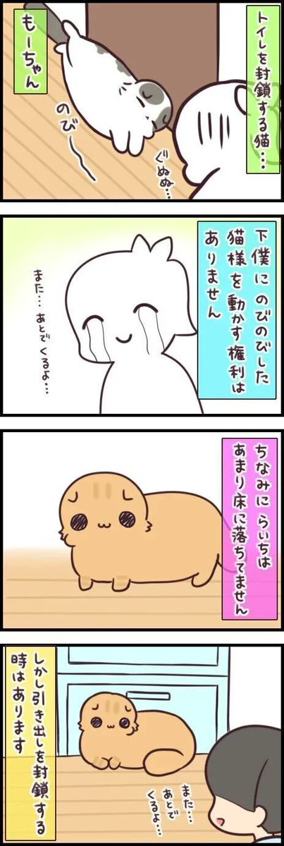 夏の風物詩「床に落ちている猫」。場所が場所だけに…?【連載】もふもふスコたん#238|ねこのきもちWEB MAGAZINE https://t.co/J8nrhbFCzq