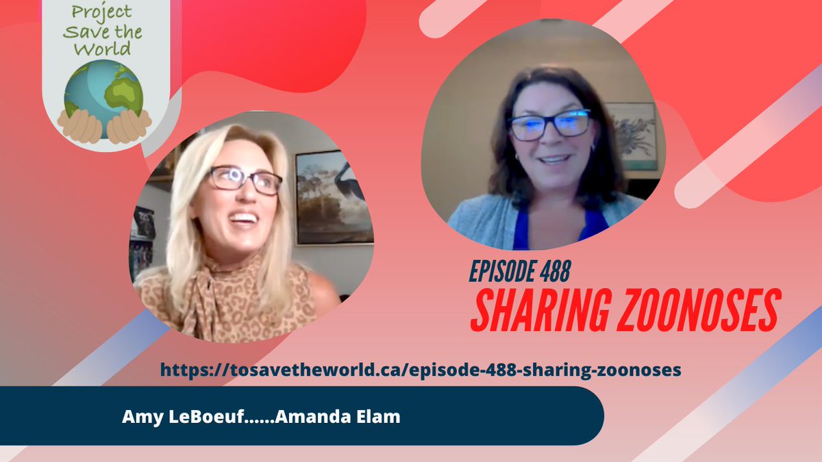 Amy LeBoeuf's young son contracted Bartellosis from a cat scratch. Her search created a friendship with Amanda Elam, the founder and CEO of Galaxy Diagnostics, a company that diagnoses zoonoses.  tosavetheworld.ca/episode-488-sh….