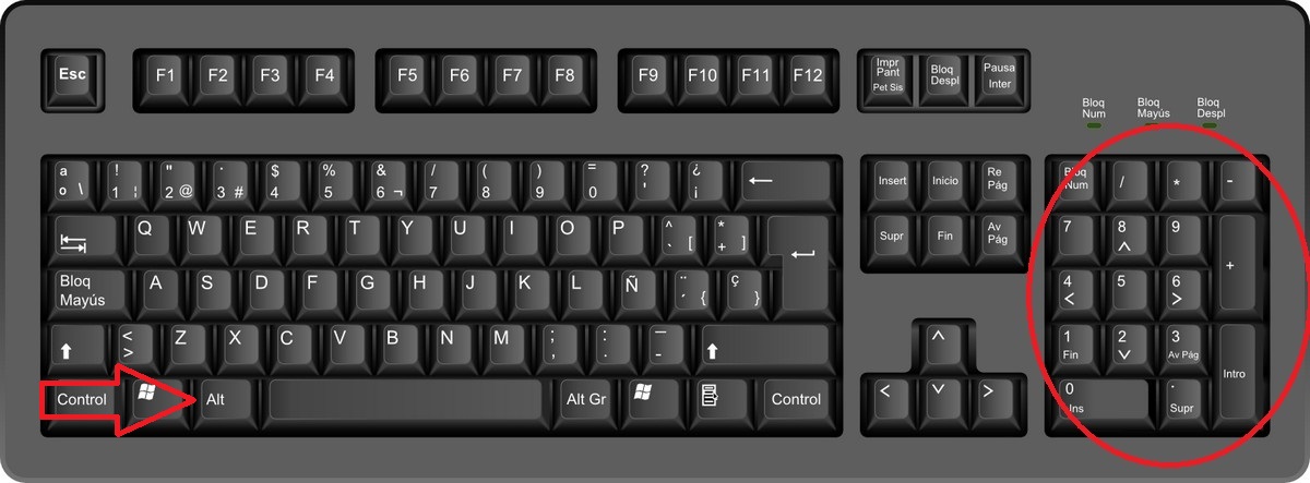 bofetada libro de texto mucho comillas en el teclado español Experto