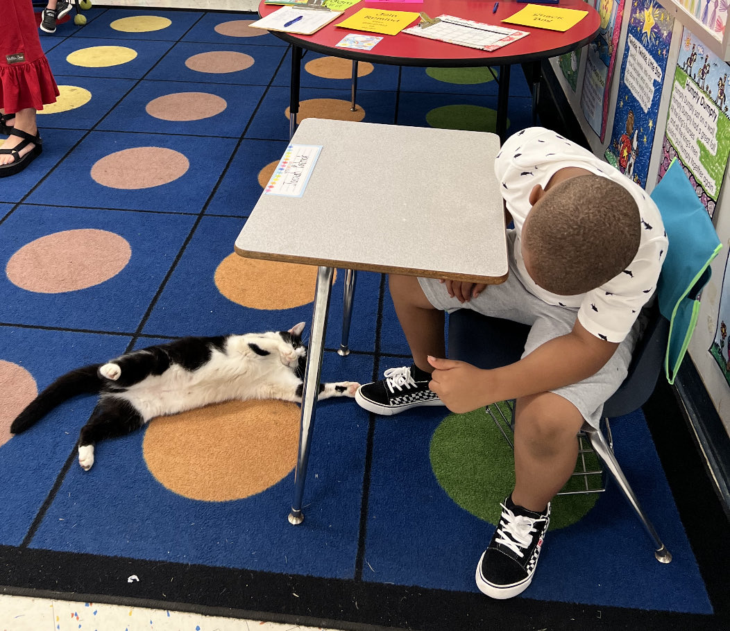 SebastopolElem1's tweet photo. Kinder does her job and checks on our kindergarten kiddos! #TimeOnTask! https://t.co/Gt4Gn8YBid