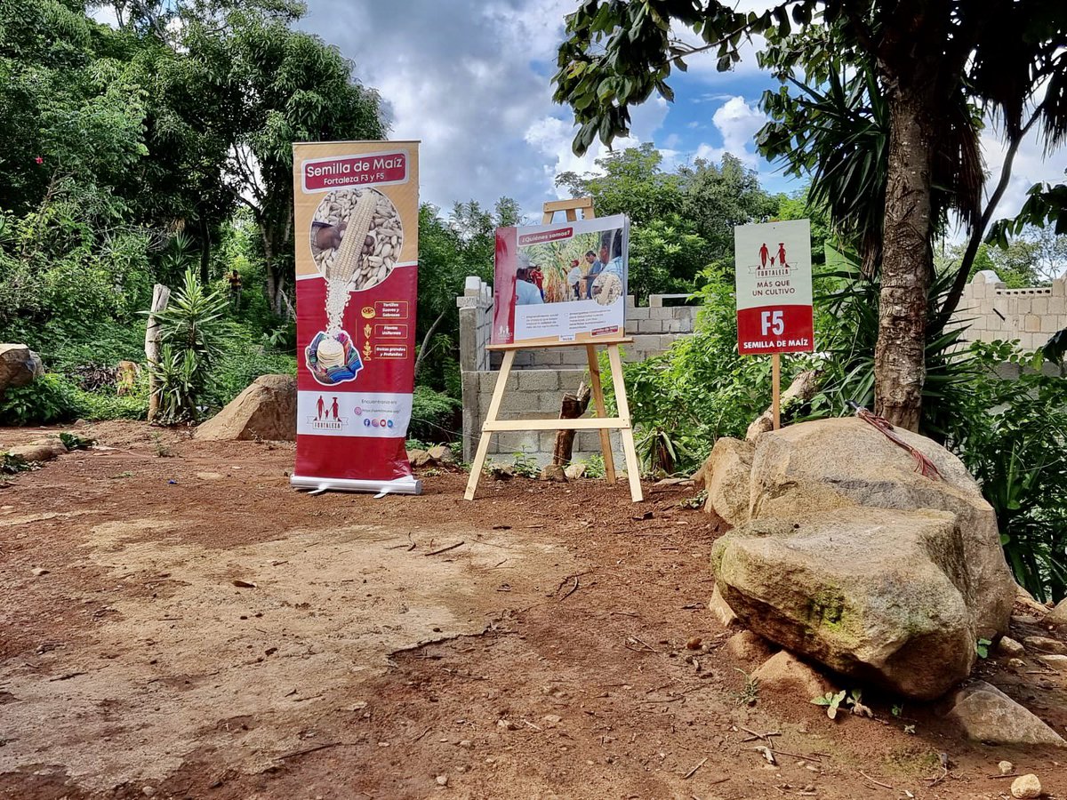 El mejor escenario para compartir las bondades del #maíznutritivo es…

👇🏽