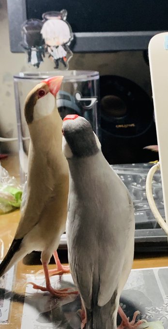 長い 