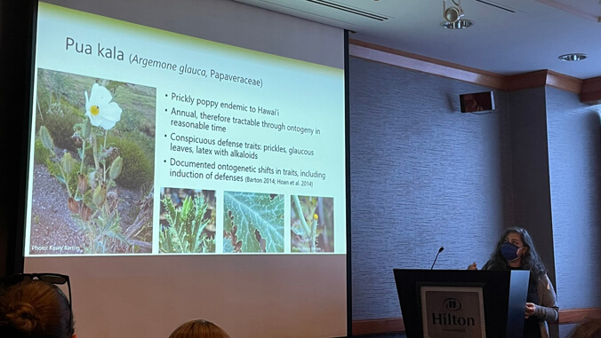 hi_datascience's tweet photo. UH Mānoa excellence in botany has received national spotlight at the Botanical Society of America (BSA) 2022 annual conference in Anchorage, Alaska, July 24–28.

To read more about UH Mānoa botany achievements - https://t.co/RKR26NoL4s https://t.co/SEMJE9Cg3a