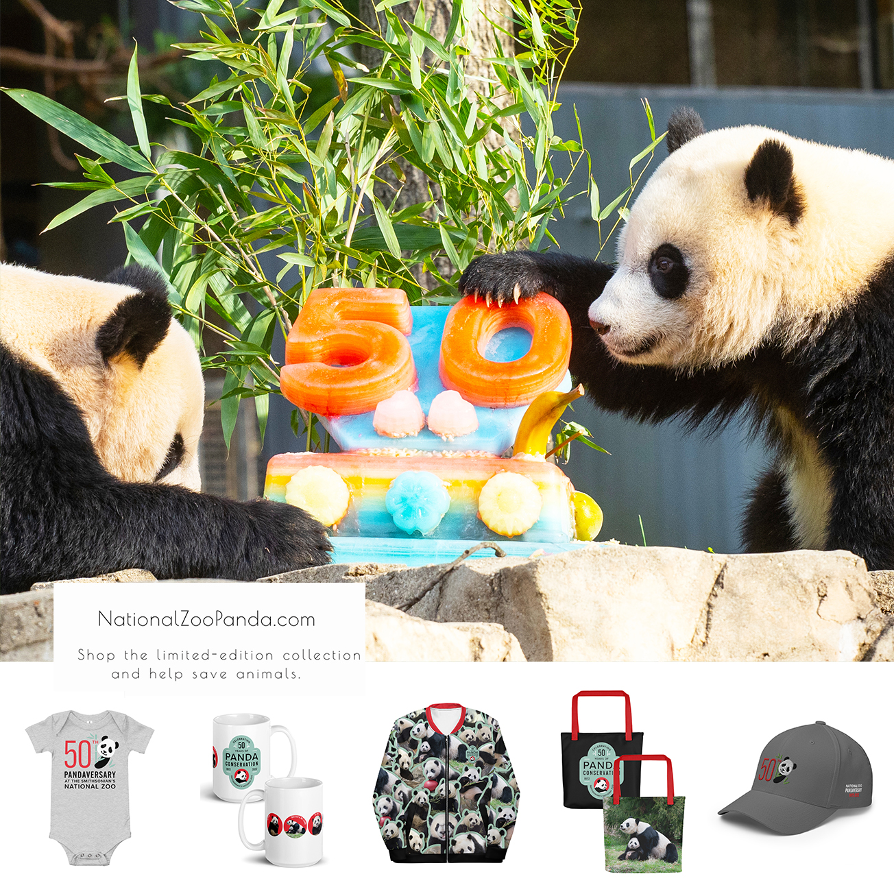 National Zoo on Twitter: National Zoo on Twitter: