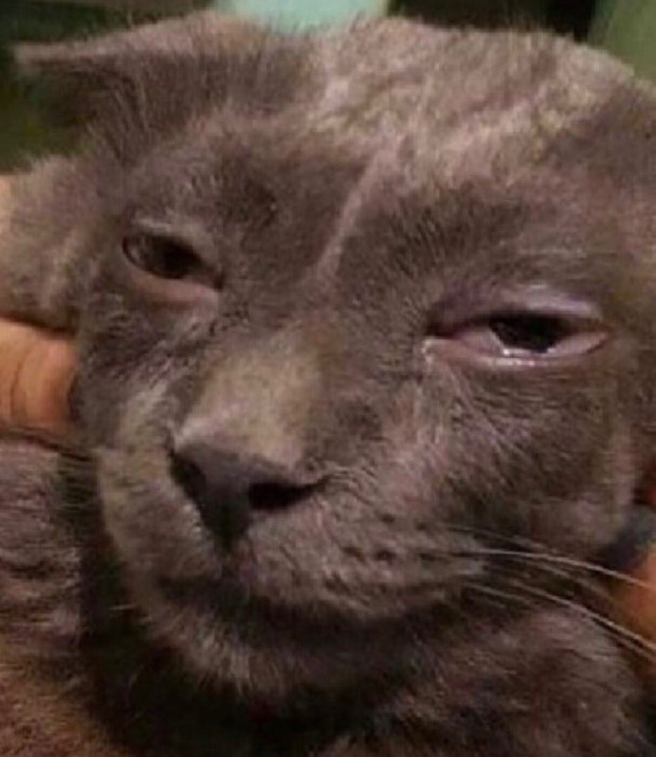 gigageiyusdi's tweet photo. the sooner mcu stan freaks realize that pale skin does not equal white and that colorism is a prevailing issue in comics the better bc wanda and pietro have literally been drawn brown multiple times, i'm literally so tired https://t.co/HjPV4urYgr
