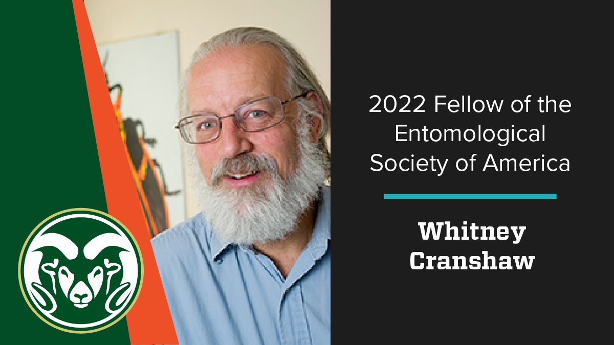 CSUAgSci's tweet photo. #Congratulations to Whitney Cranshaw, professor emeritus of @CSU_AgBio at @ColoradoStateU who has been named a 2022 Fellow of the @EntsocAmerica. This award acknowledges individuals who have made outstanding contributions to #entomology. Learn more:  https://t.co/WN3MXrRJZp https://t.co/JJ4A3TsjdR