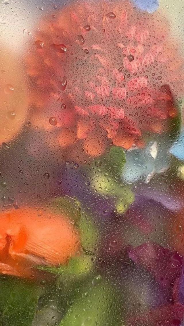 athvna's tweet photo. Flowers through glass https://t.co/HZMeOB3s0T