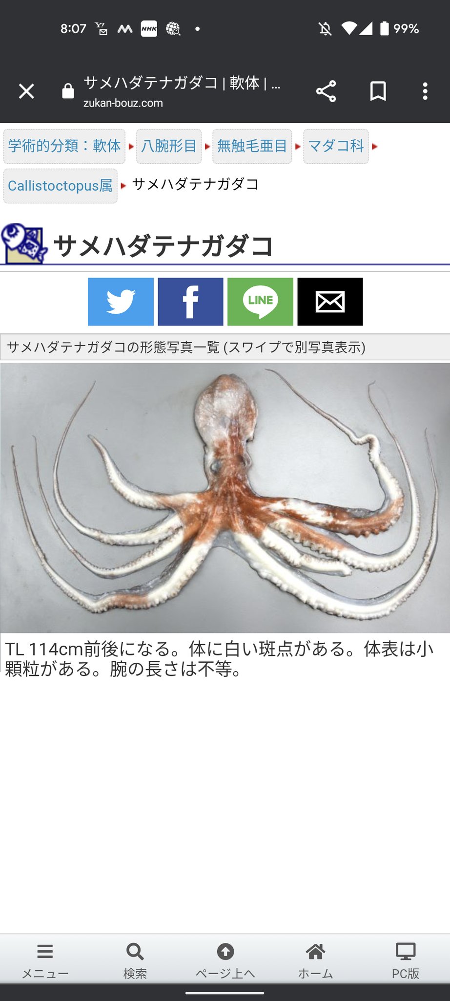 تويتر 三式おむすび على تويتر ウツホとフウカ どっちともタコ説 スプラトゥーン3 T Co I0mxzrcryw