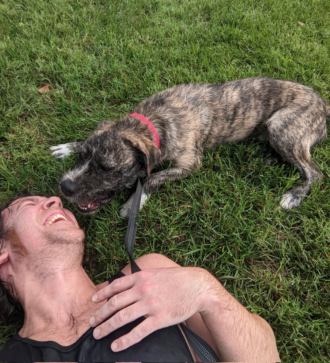 TwoPucketts's tweet image. He&apos;s been in the shelter longer than any other animal in Nashville, so today I took him out for a run.

This is the story of Tramp The Shelter Dog at @nashvillehumane