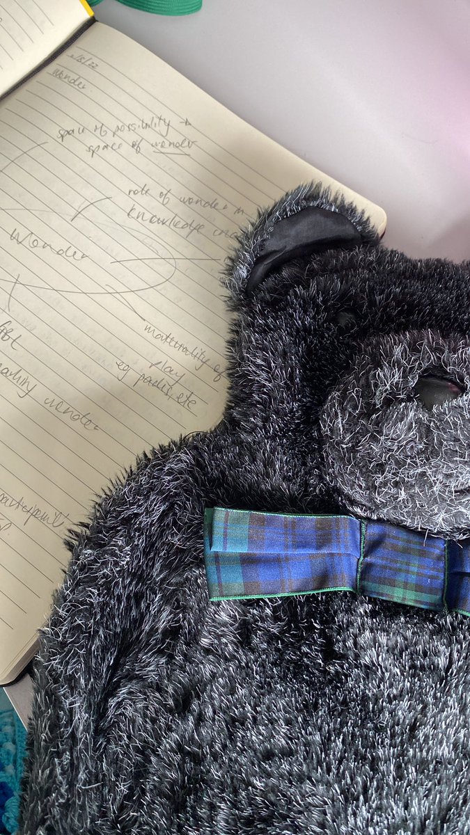 AKeenReader's tweet image. I’m sick of being cold. This is my new work mate. (Bear is a hot water bottle.)
#nerdlyf