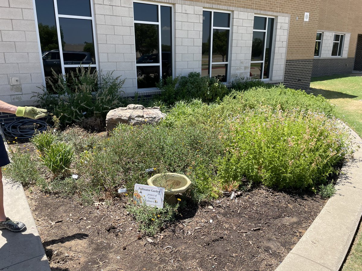 Trey Peden, M.Ed tweet media