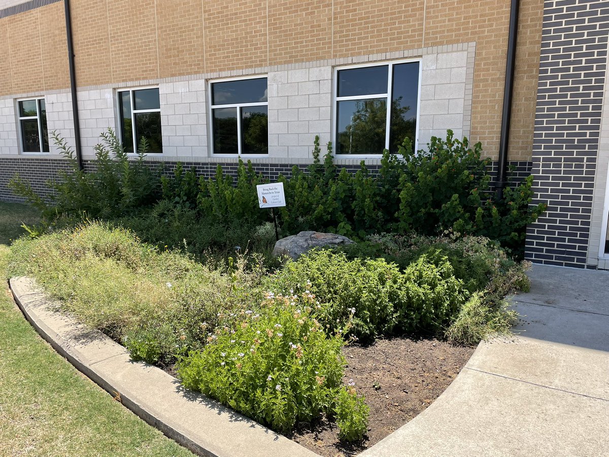 Trey Peden, M.Ed tweet media