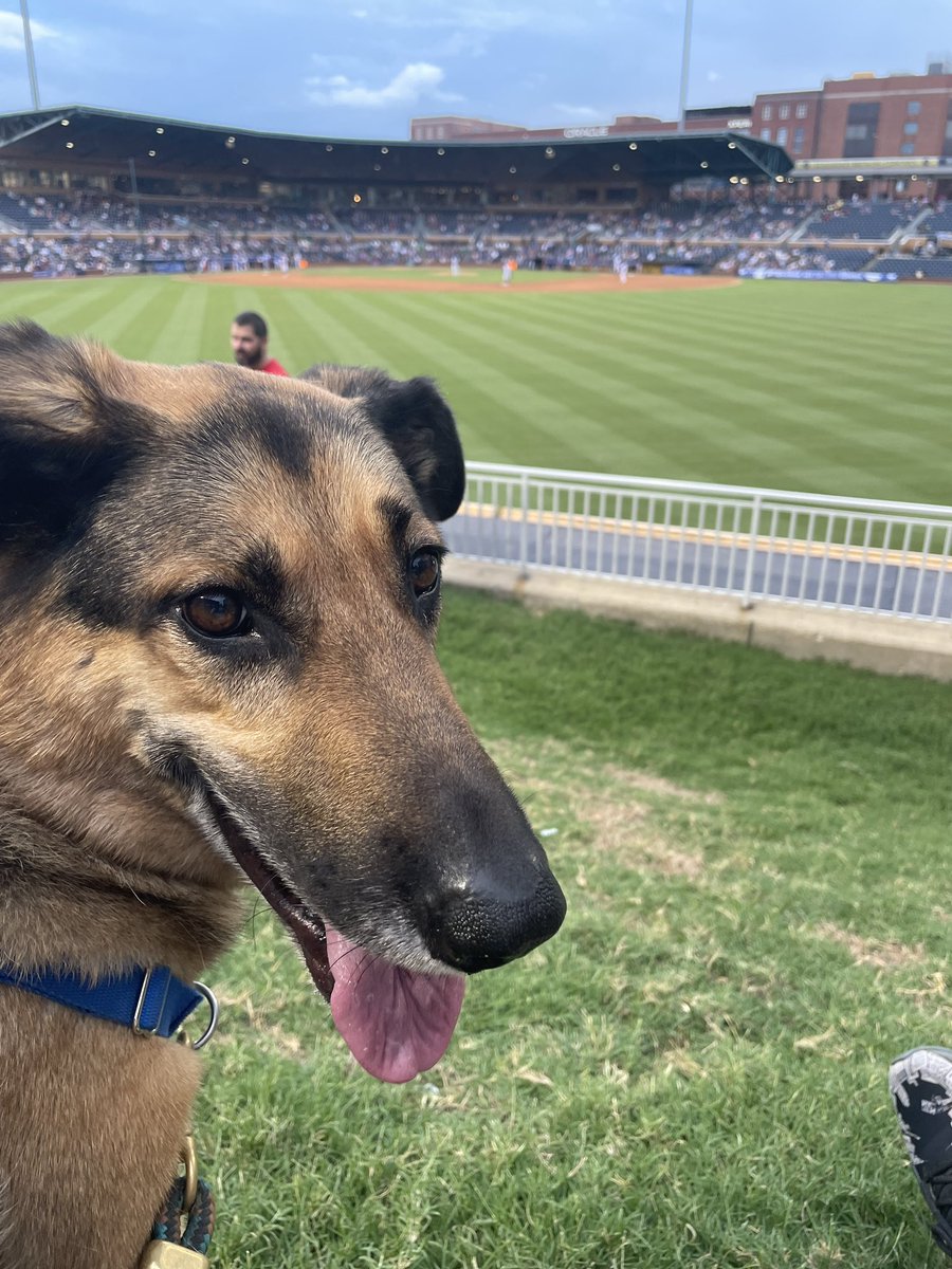 WbWrites's tweet photo. @DurhamBulls he doesn’t understand why the players don’t just play fetch instead. https://t.co/Q1vWHx96Cr