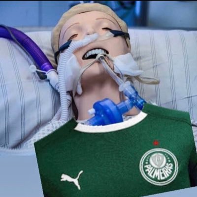 LeydeOlive's tweet photo. @Palmeiras Vamoooooos https://t.co/rhYdYsrCCg