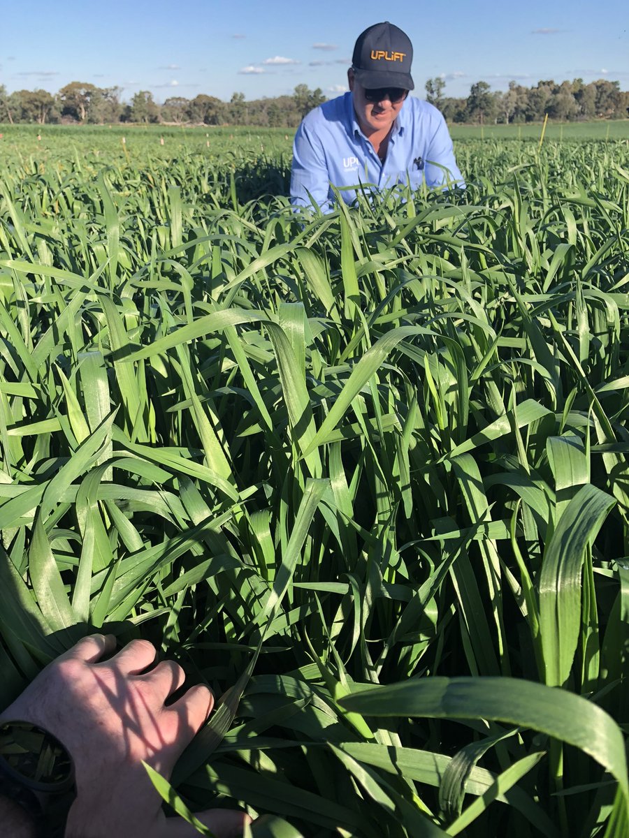 Shaun Cleary tweet media