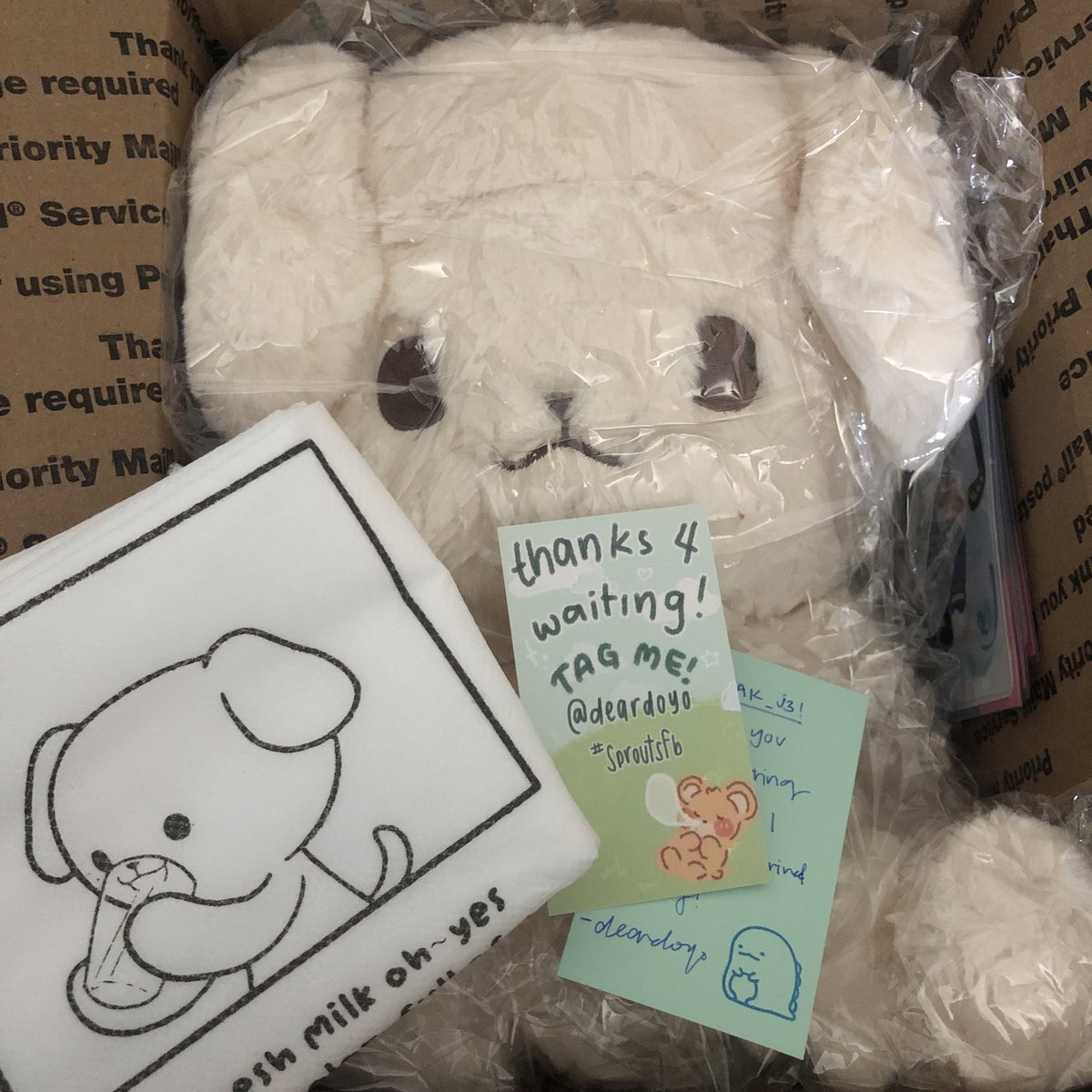 daebak_j3's tweet photo. ahh the doll arrived today safely~~
the doll is so cute๐ญ๐ tysm for hosting the GO!!! @deardoyo #sproutsfb https://t.co/V1kYqkZboO